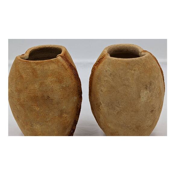 Spice Plants Jars Pair Nutmeg Myristica Moschata Black Pepper Piper Philippines - Picture 6 of 11